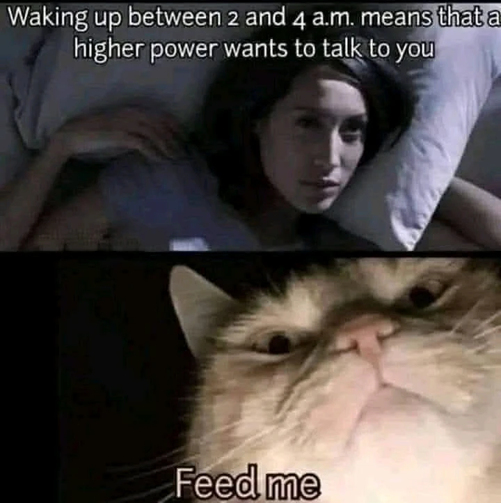 GIF uploaded by ๐J๐o๐e๐y๐