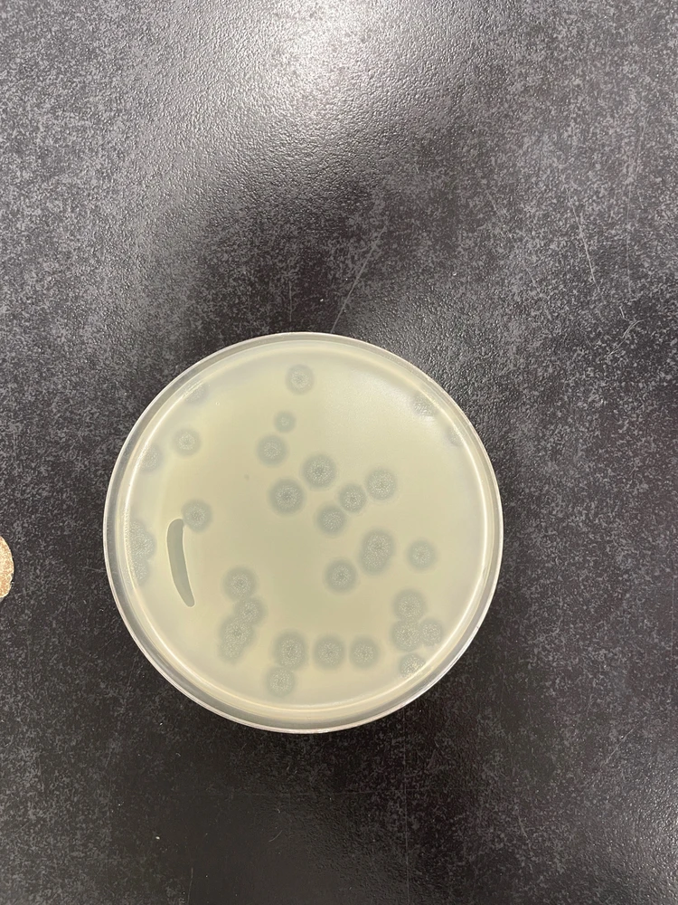 GIF uploaded by Genesis