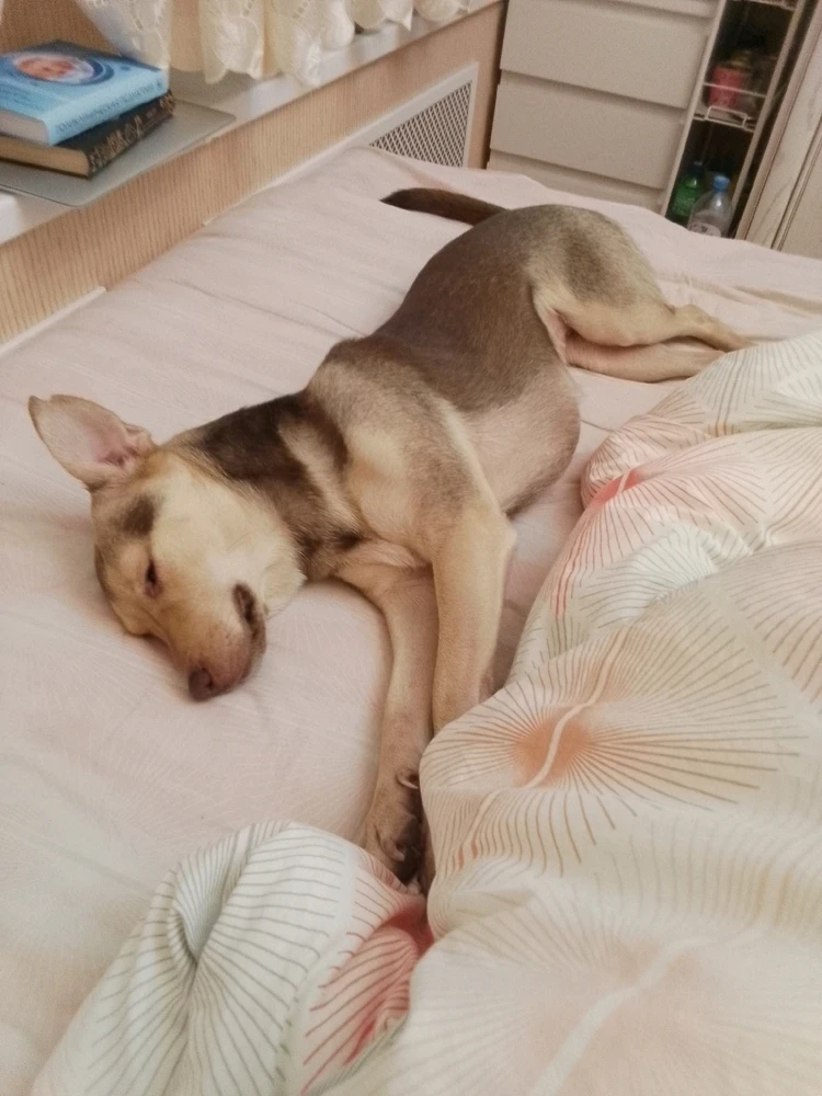 GIF uploaded by Temo