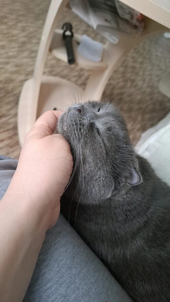 GIF uploaded by Anastasia