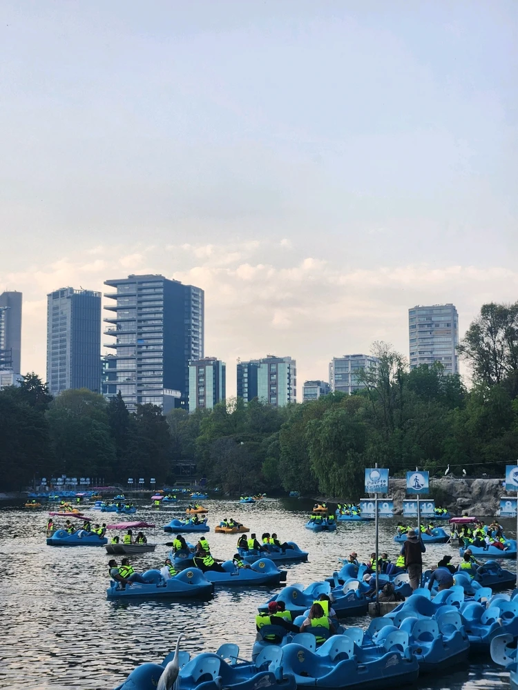 Image uploaded by Aileen