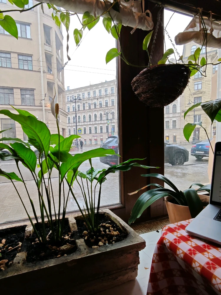 Фото загрузил Alexey