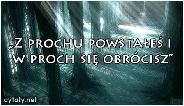 GIF dodany przez Umberto