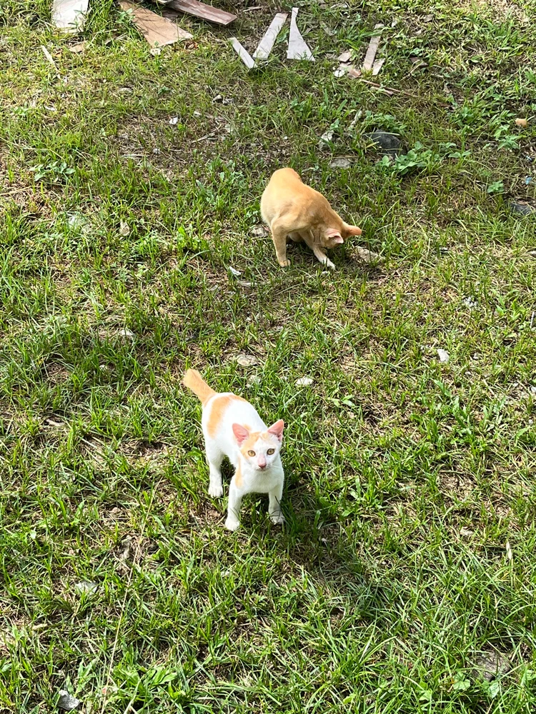 GIF uploaded by Eva