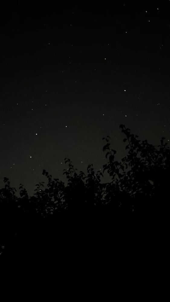 Imagen subida por Vivi