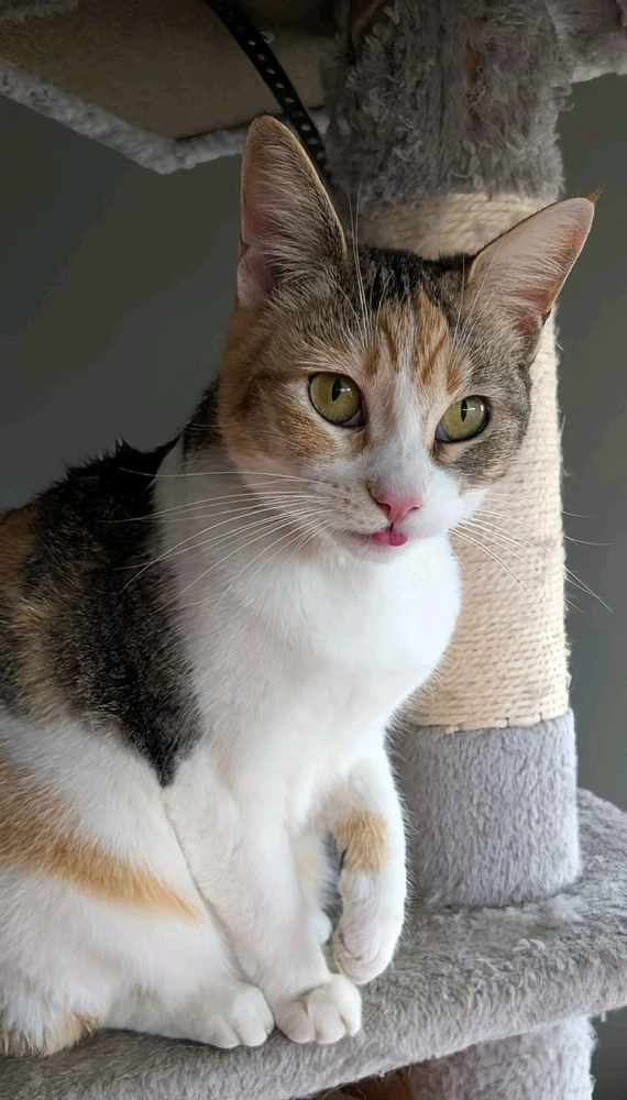 Image uploaded by Michael