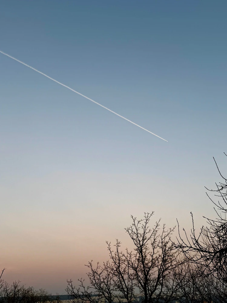 Obrázek nahrál Irónia