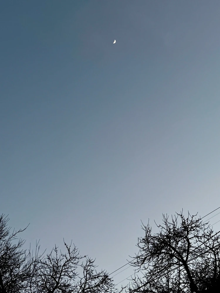 Obrázek nahrál Irónia