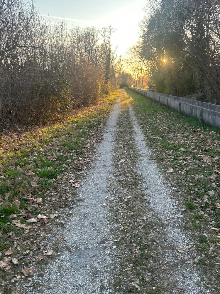 GIF caricata da Fabio