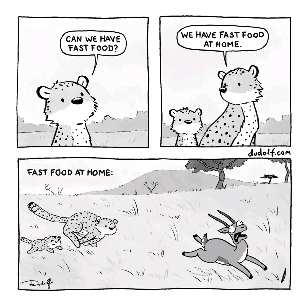 GIF hochgeladen von Alexander