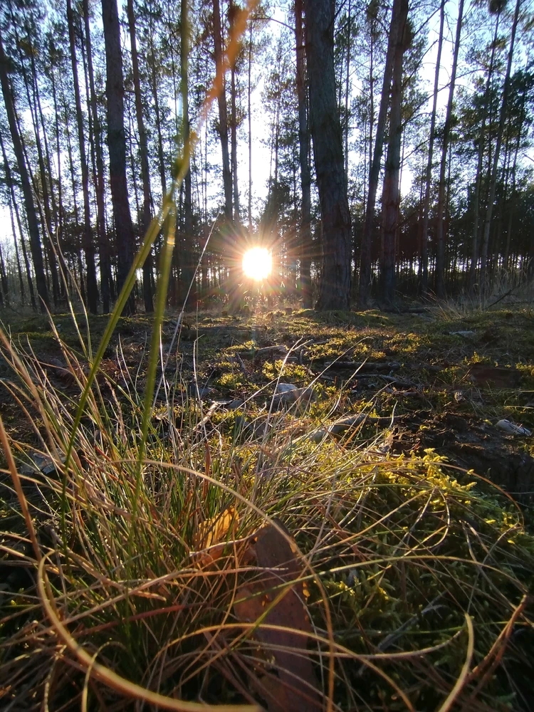 GIF nahrál Švadlena kytaristka