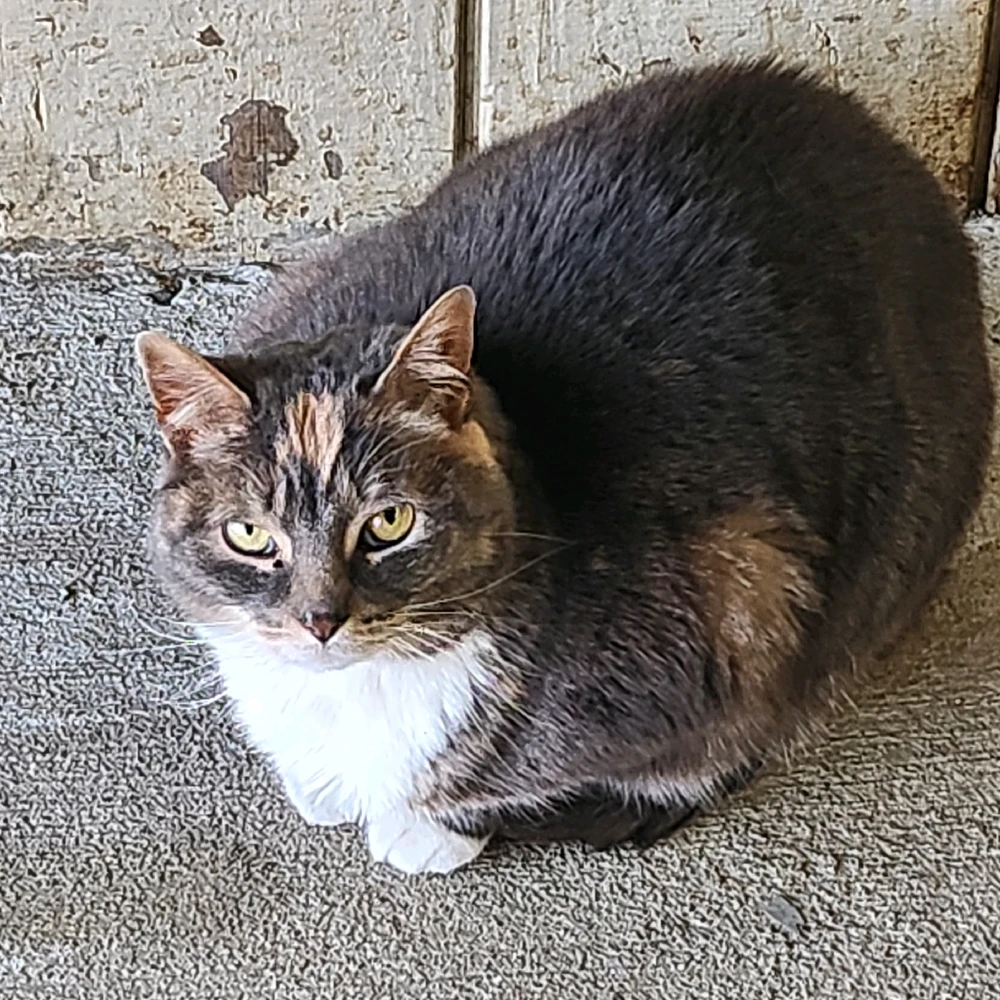 Gambar diunggah dening James