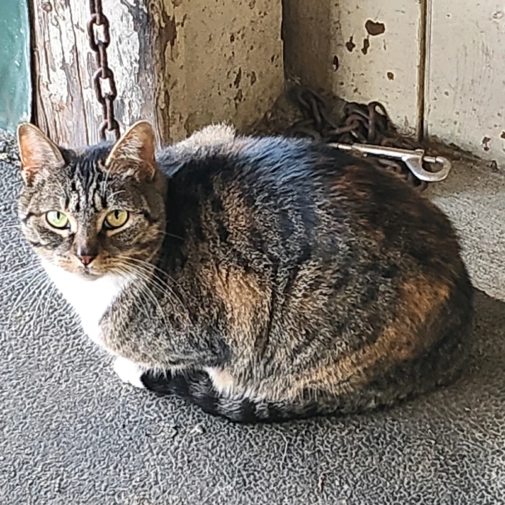 Gambar diunggah dening James