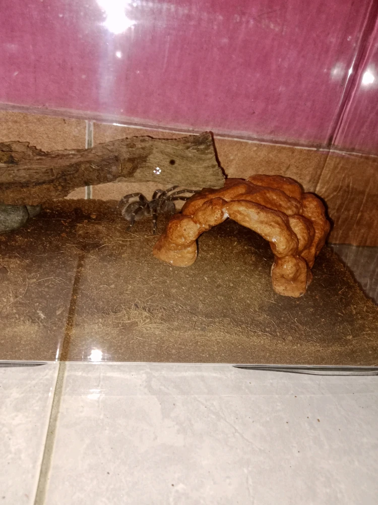 GIF diunggah oleh Bingg⭐