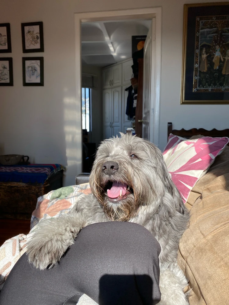 GIF subido por Stephano