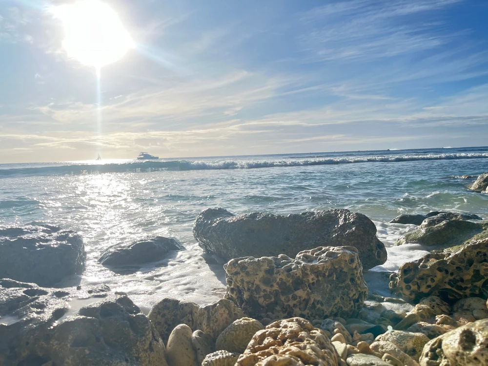 GIF uploaded by Asger