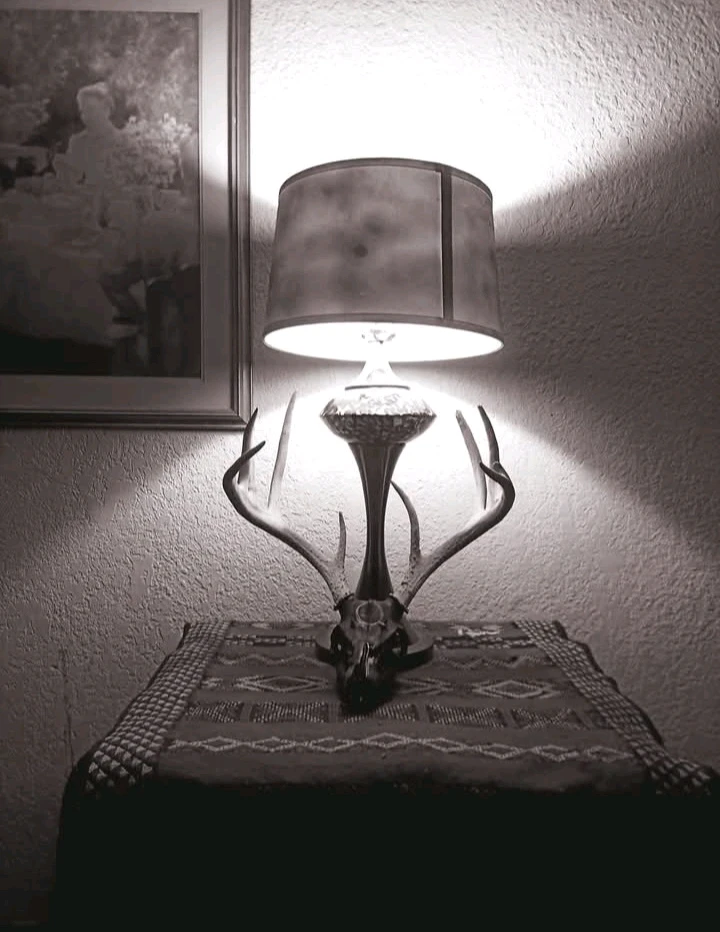 GIF uploaded by Mr. Bone.