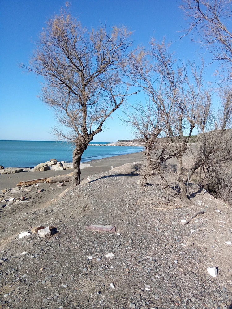 Immagine caricata da Luca