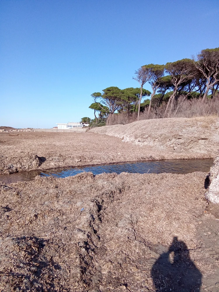 Immagine caricata da Luca