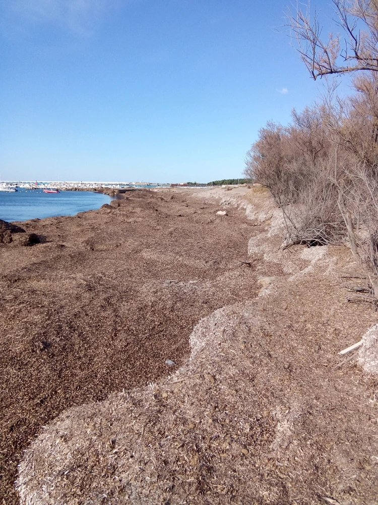 Immagine caricata da Luca