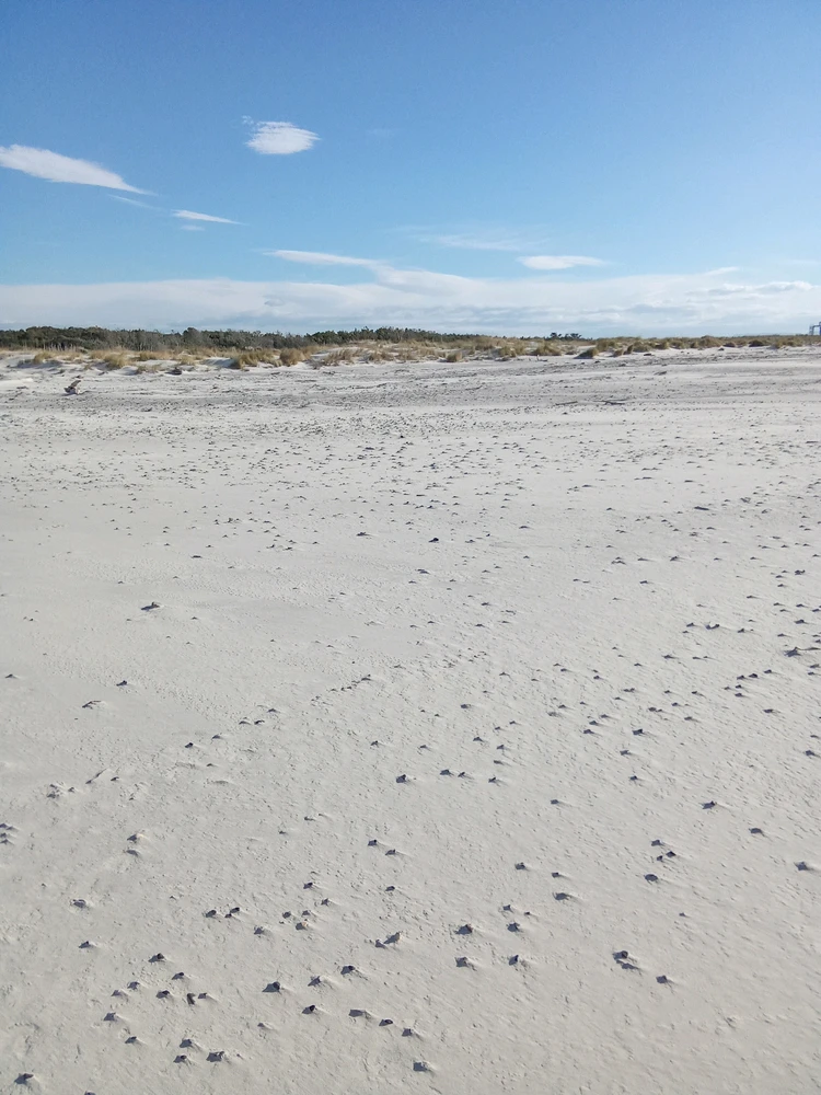 Immagine caricata da Luca