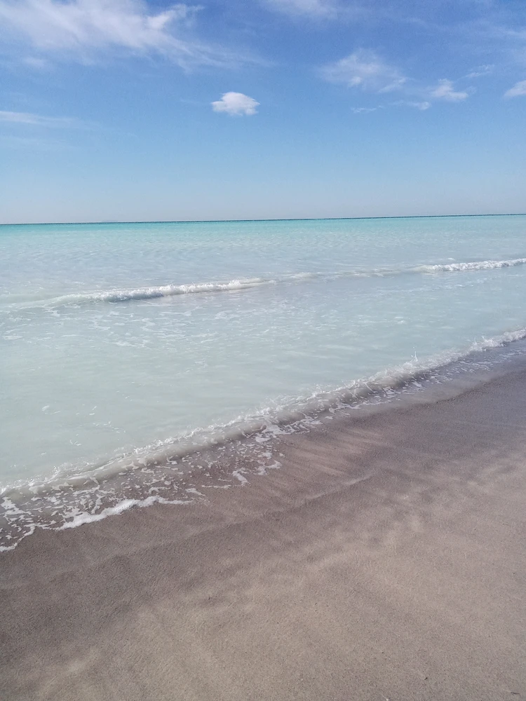 Immagine caricata da Luca