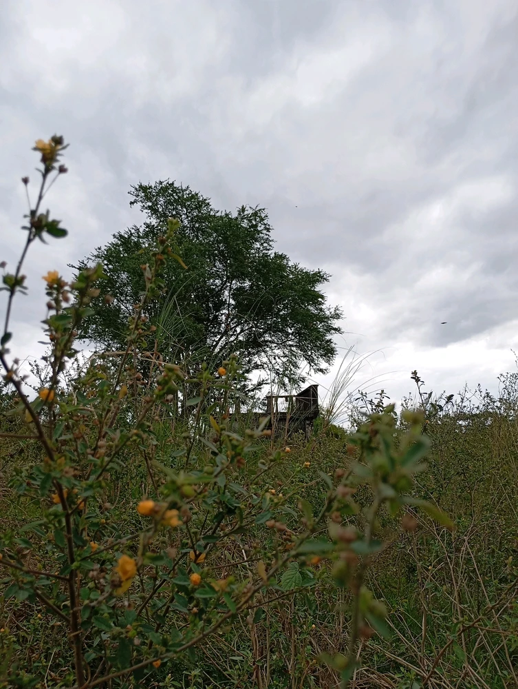 Gambar diunggah dening Zumi