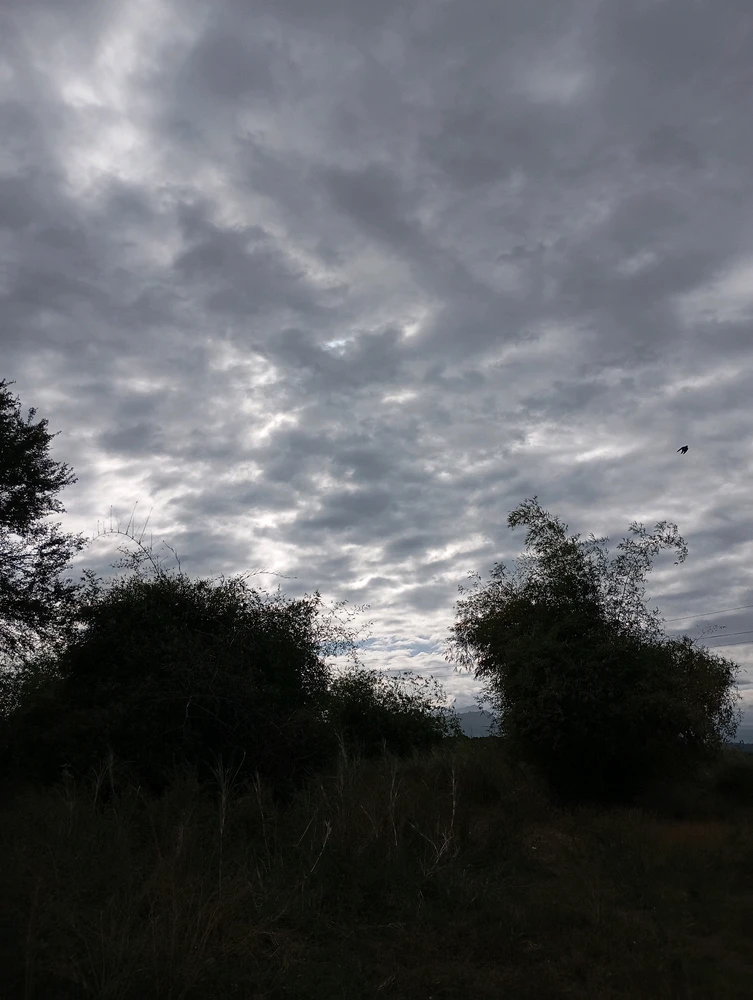 Gambar diunggah dening Zumi