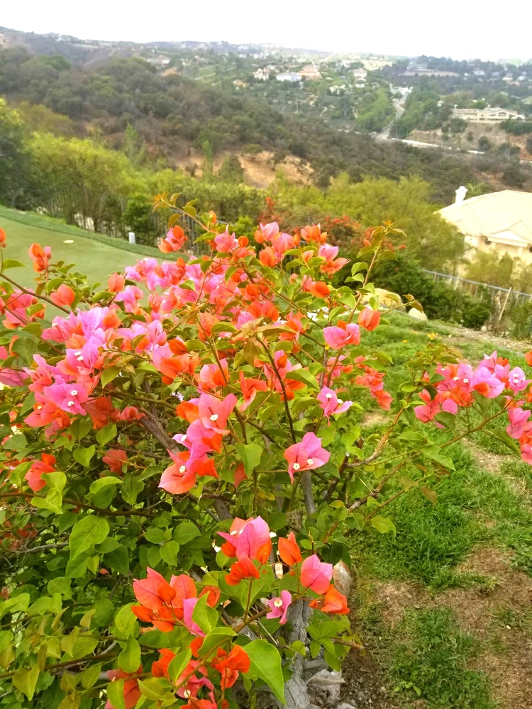 GIF uploaded by laila♡