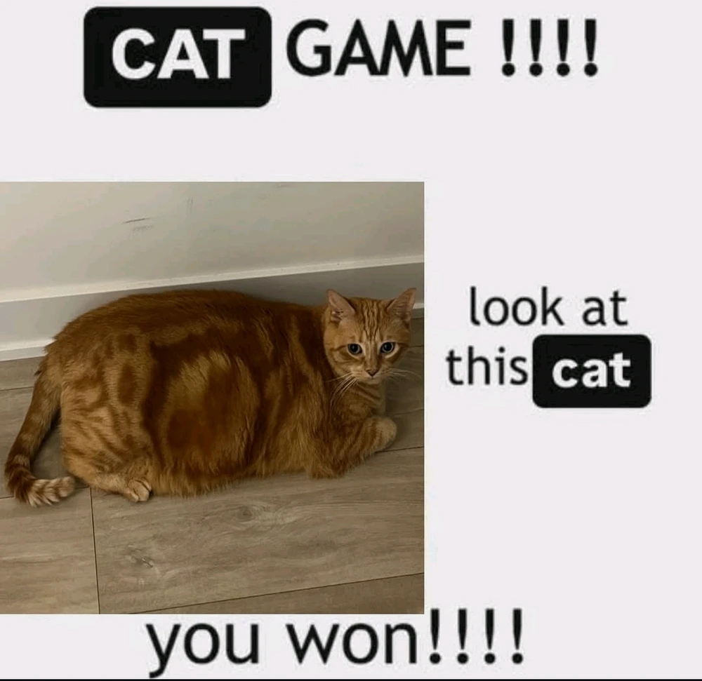 GIF uploaded by ryan