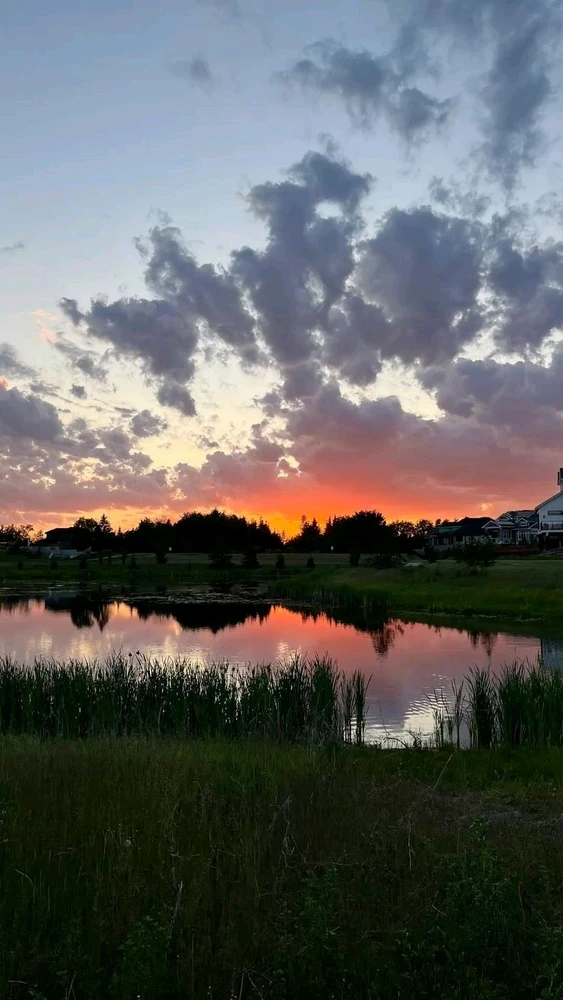 GIF uploaded by Joji