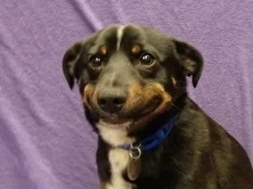 GIF uploaded by Danny