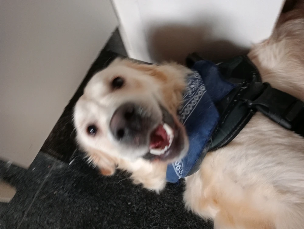 GIF enviado por Diogo