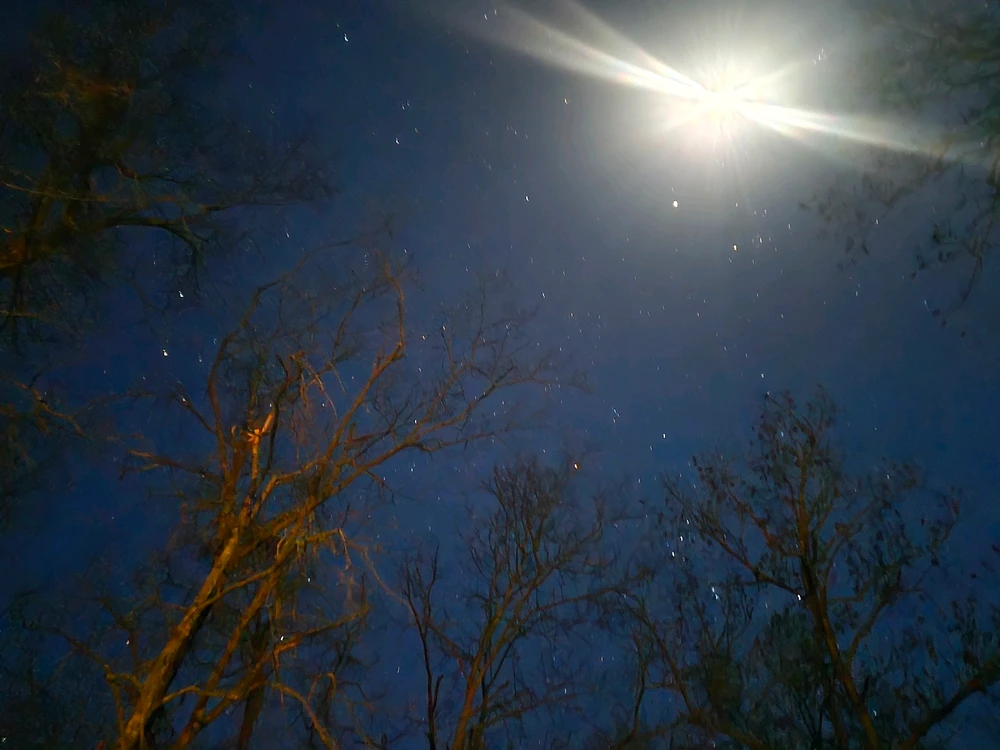 Image uploaded by Tarl