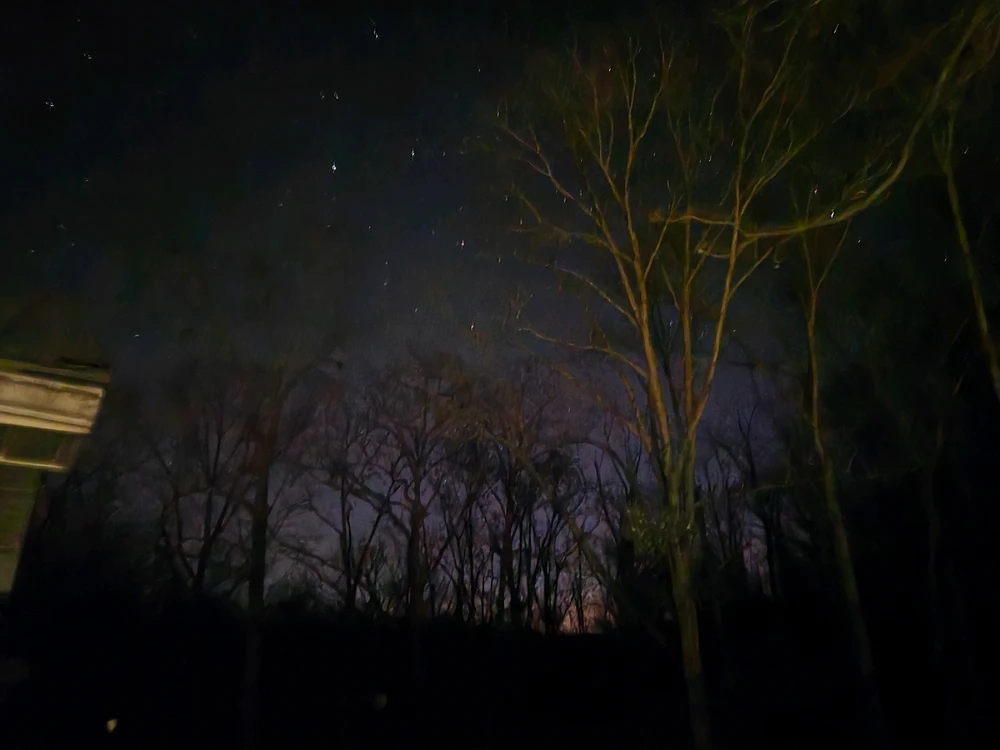 Image uploaded by Tarl