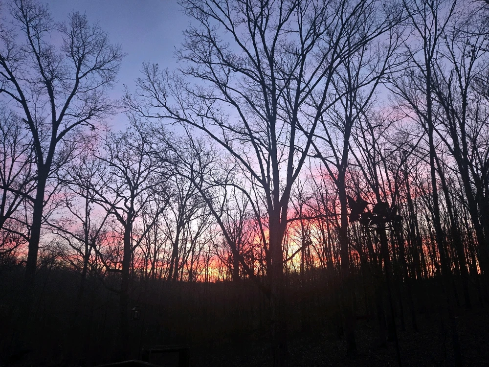 Image uploaded by Tarl