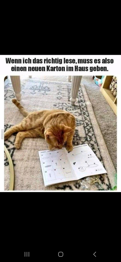 GIF hochgeladen von Danilo