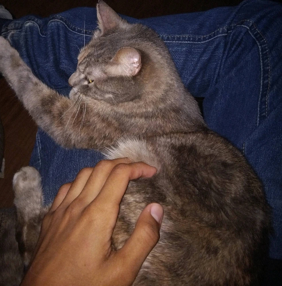 GIF subido por Isaac