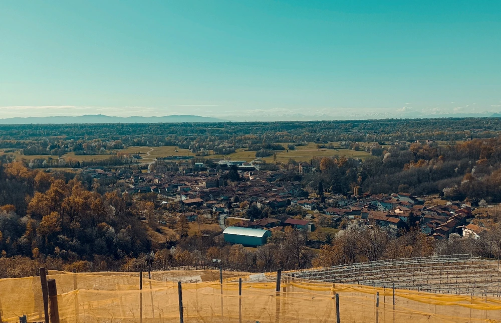 Immagine caricata da Giulio