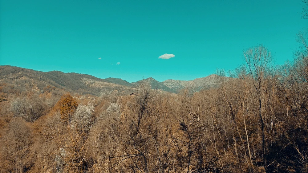 Immagine caricata da Giulio