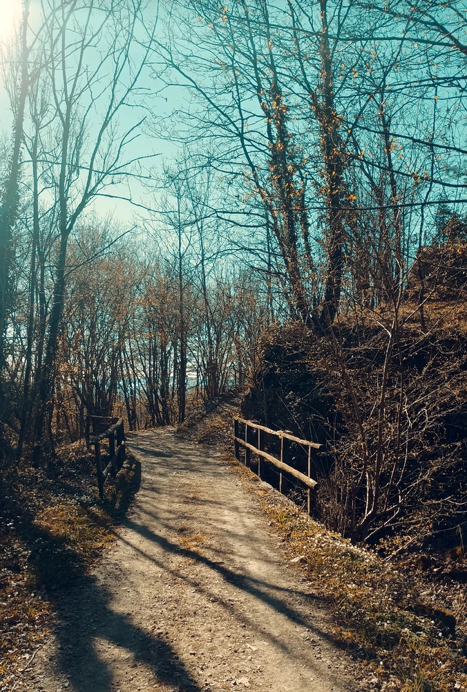 Immagine caricata da Giulio