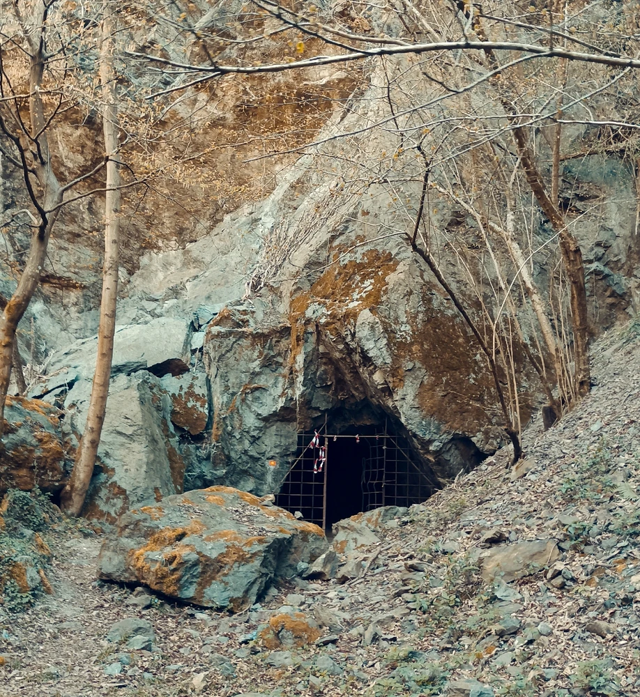 Immagine caricata da Giulio