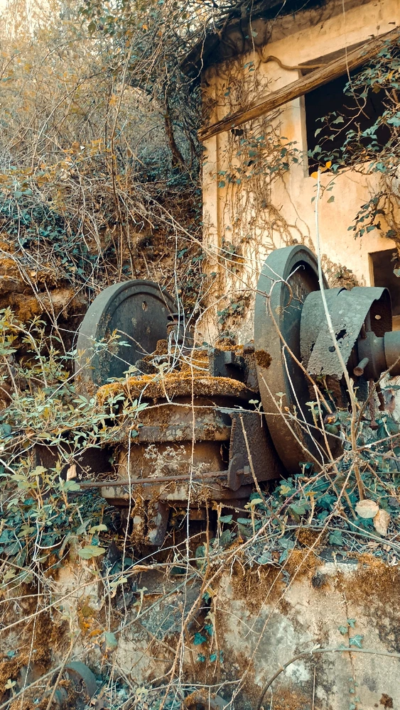 Immagine caricata da Giulio