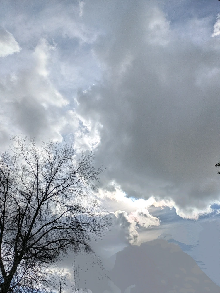 Image uploaded by Kea