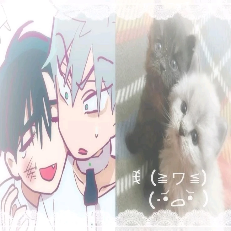 GIF uploaded by Yeshua