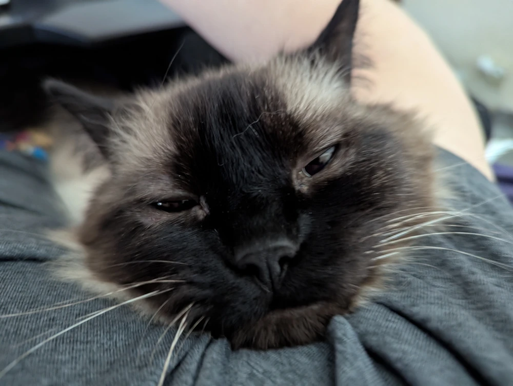 GIF uploaded by Ryan