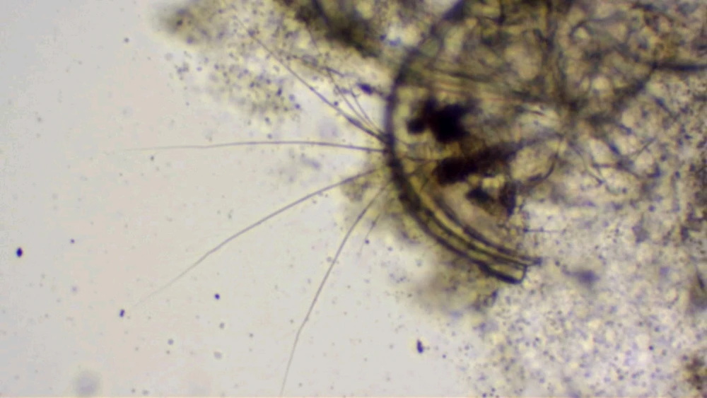 GIF uploaded by Johnkarlo