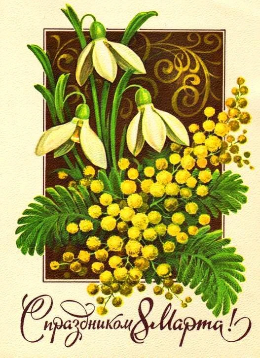 GIF загрузил Anna