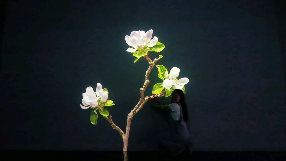 Image uploaded by Eowyn