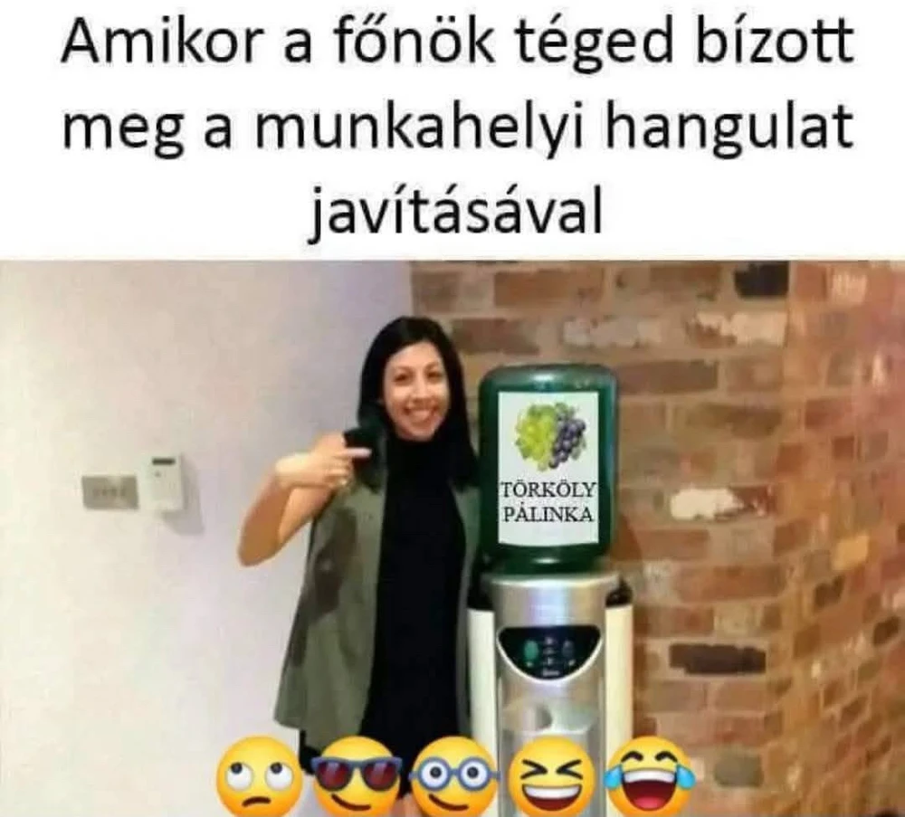GIF uploaded by Zoltán